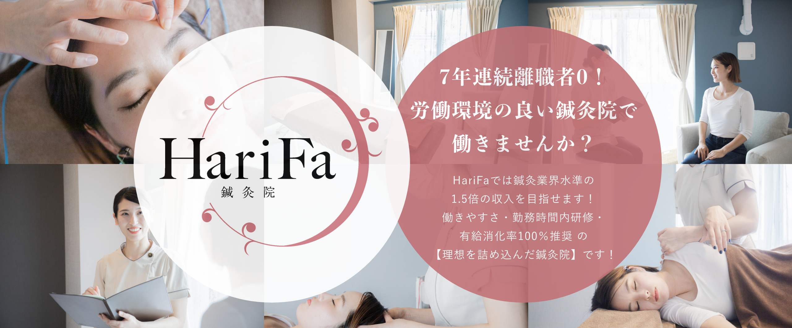 HariFa採用